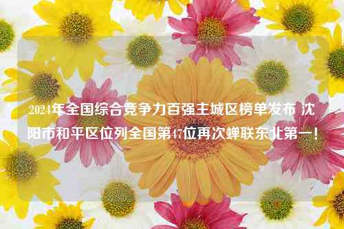 2024年全国综合竞争力百强主城区榜单发布 沈阳市和平区位列全国第47位再次蝉联东北第一！