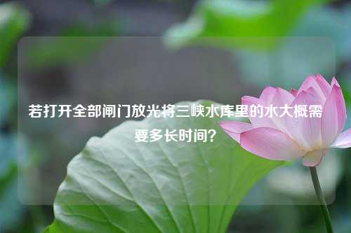 若打开全部闸门放光将三峡水库里的水大概需要多长时间？