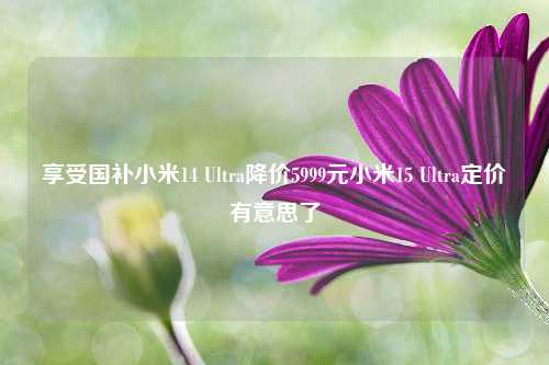 享受国补小米14 Ultra降价5999元小米15 Ultra定价有意思了