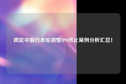 蹉跎中前行本轮调整IPO终止案例分析汇总！